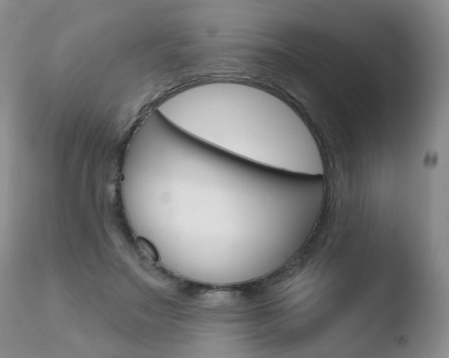 X0000110760499200906150933