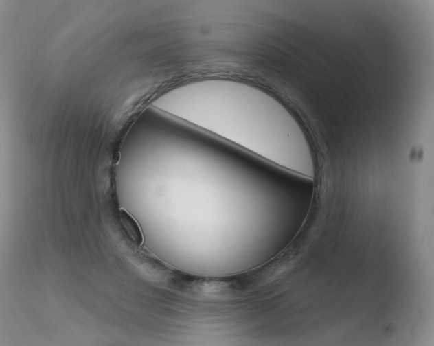 X0000110760501200906150933
