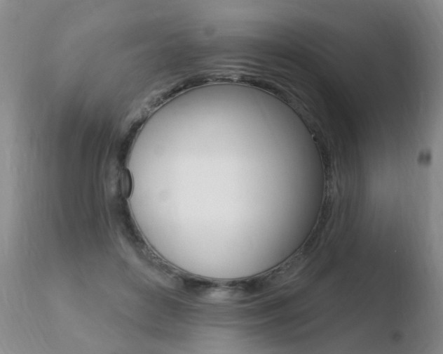X0000110760504200906150933