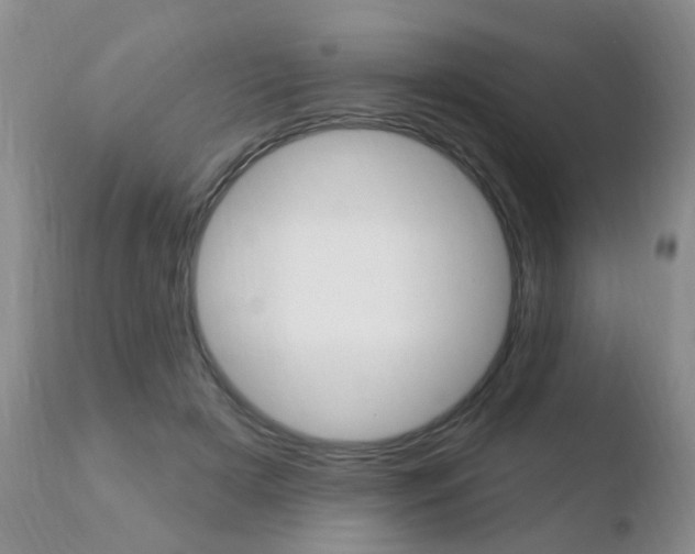 X0000110760505200906150933