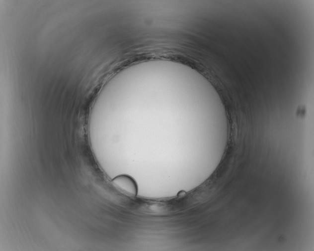 X0000110760506200906150933