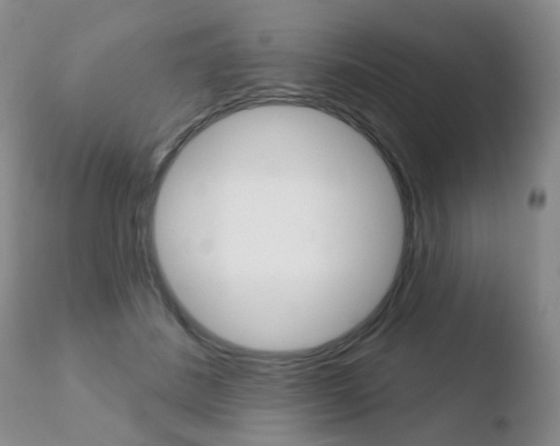 X0000110760508200906150933