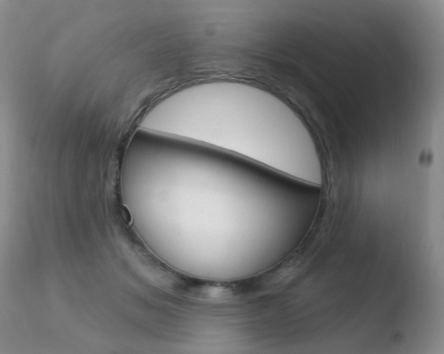X0000110760509200906150933