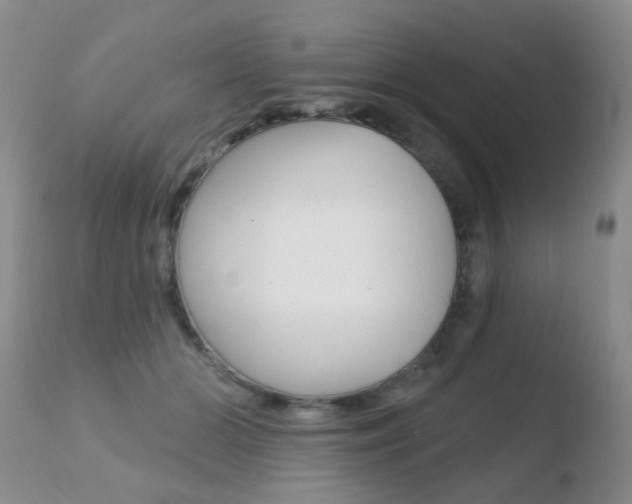 X0000110760510200906150933