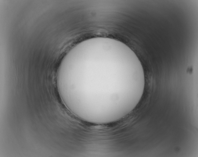 X0000110760511200906150933