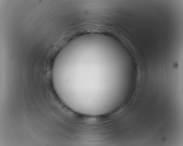 X0000110760513200906150933