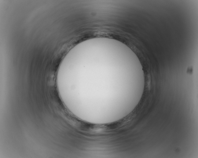 X0000110760514200906150933