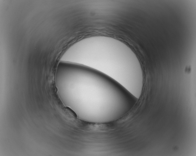 X0000110760517200906150933
