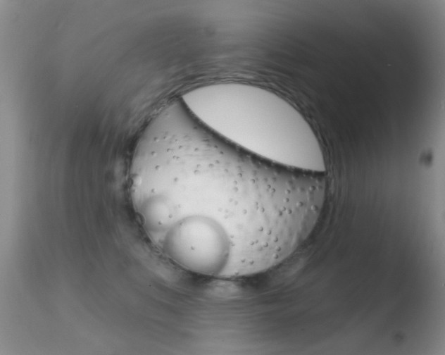 X0000110760519200906150932