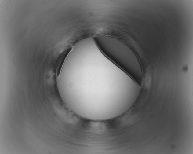 X0000110760520200906150932