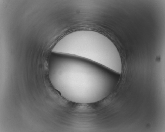 X0000110760521200906150932