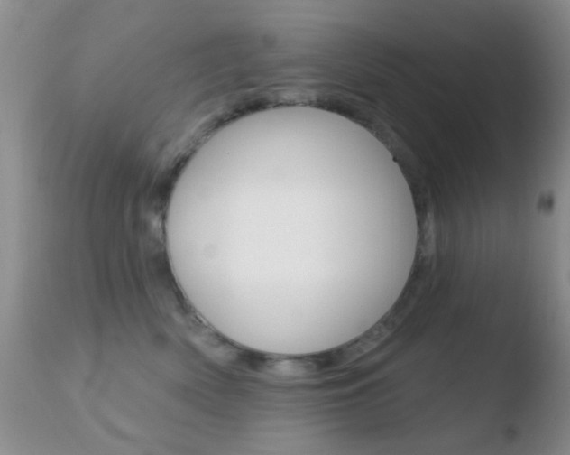 X0000110760522200906150932
