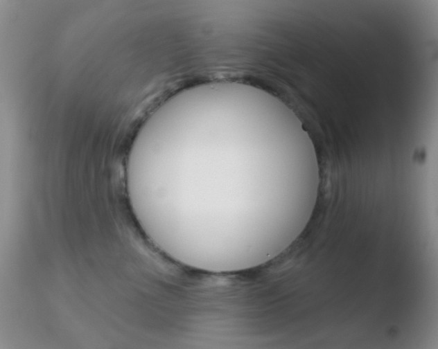 X0000110760523200906150932