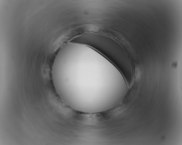 X0000110760524200906150932