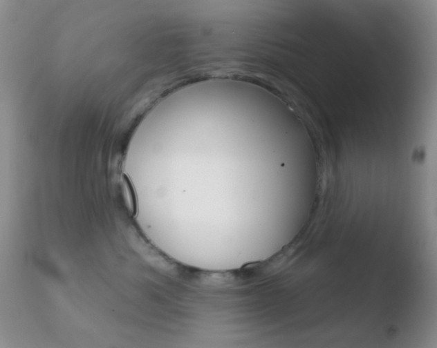 X0000110760525200906150932
