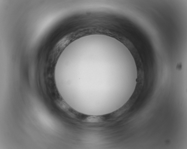 X0000110760526200906150932