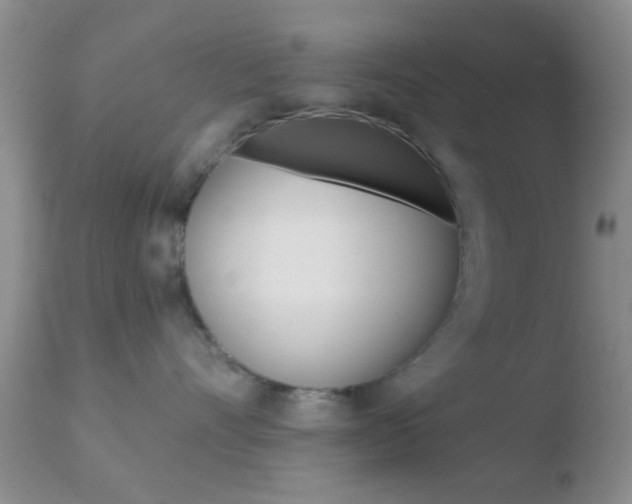 X0000110760528200906150932
