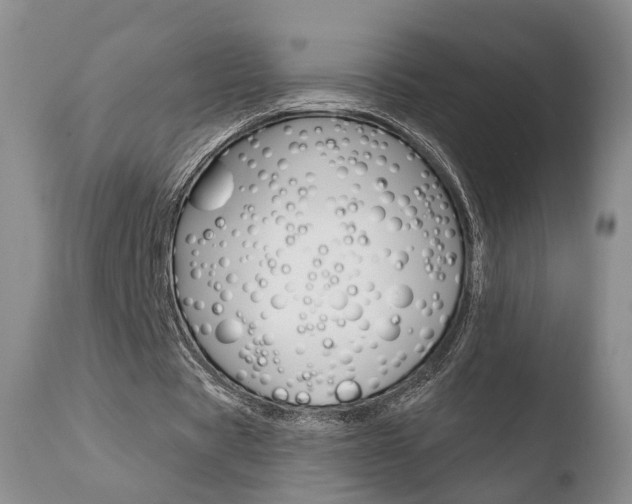 X0000110760529200906150932