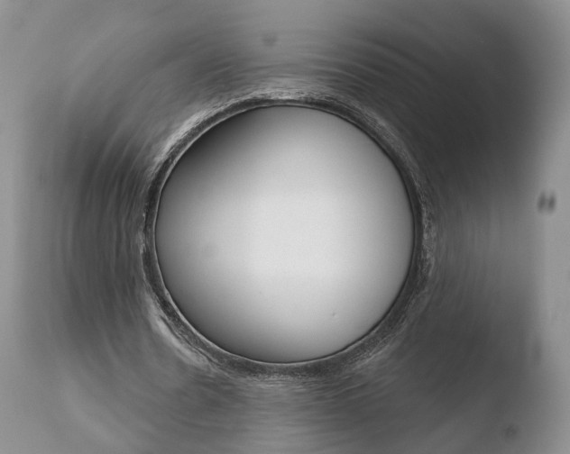 X0000110760530200906150932