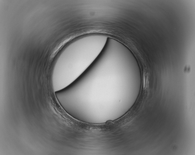 X0000110760531200906150932