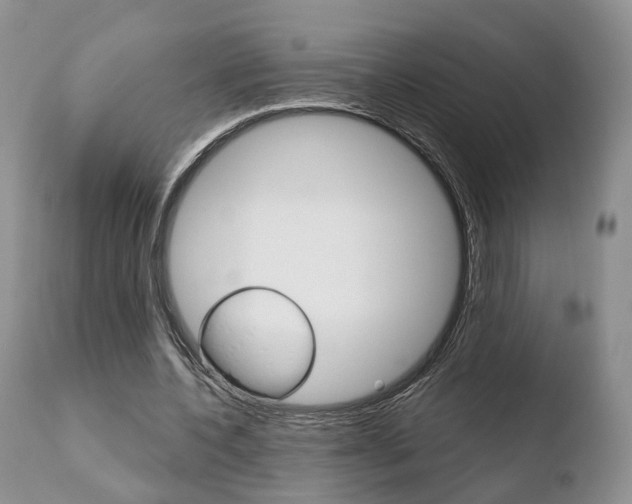 X0000110760532200906150932