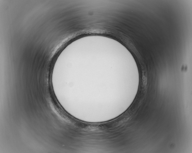 X0000110760534200906150932