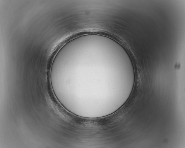 X0000110760535200906150932