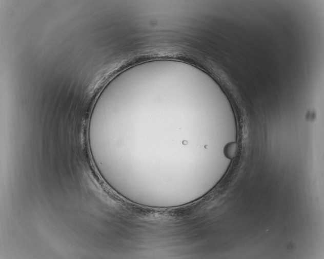 X0000110760537200906150932