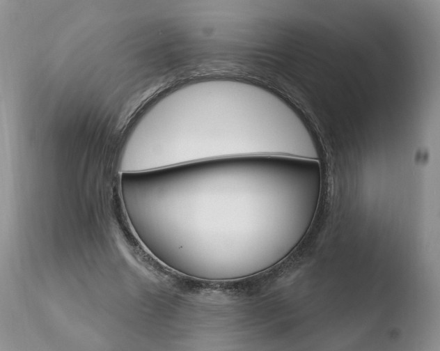 X0000110760538200906150932