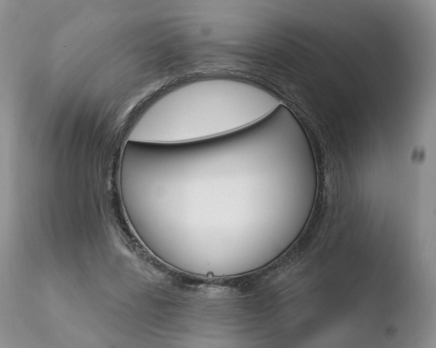 X0000110760539200906150932