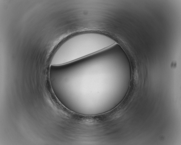 X0000110760540200906150932