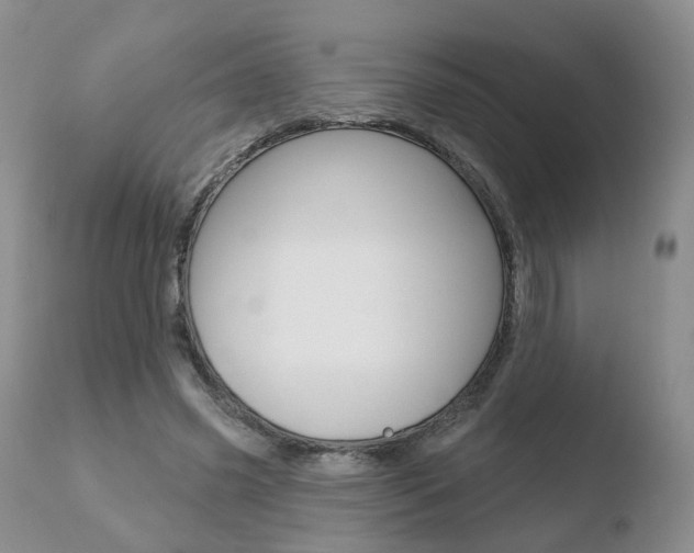 X0000110760541200906150932