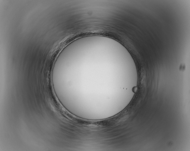 X0000110760542200906150932