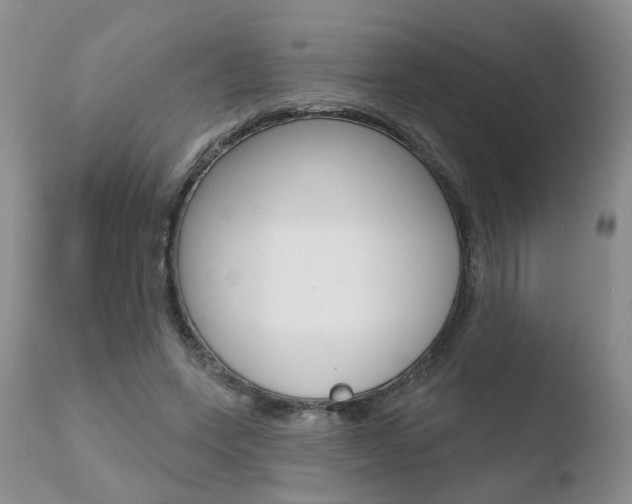 X0000110760543200906150932