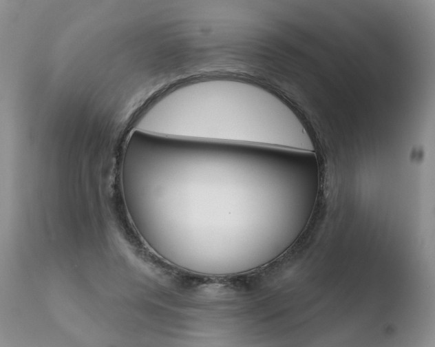 X0000110760544200906150932