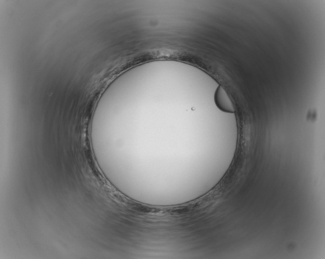 X0000110760545200906150932