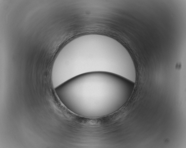 X0000110760546200906150932
