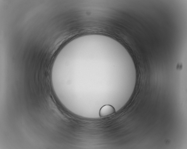 X0000110760548200906150932