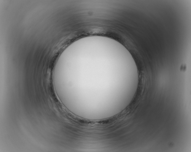 X0000110760550200906150932