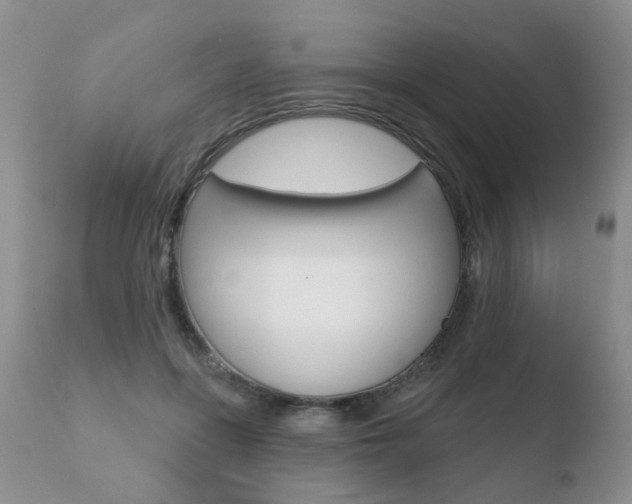 X0000110760551200906150932