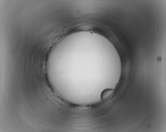 X0000110760553200906150932