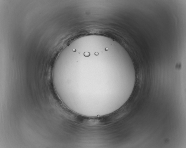X0000110760554200906150932