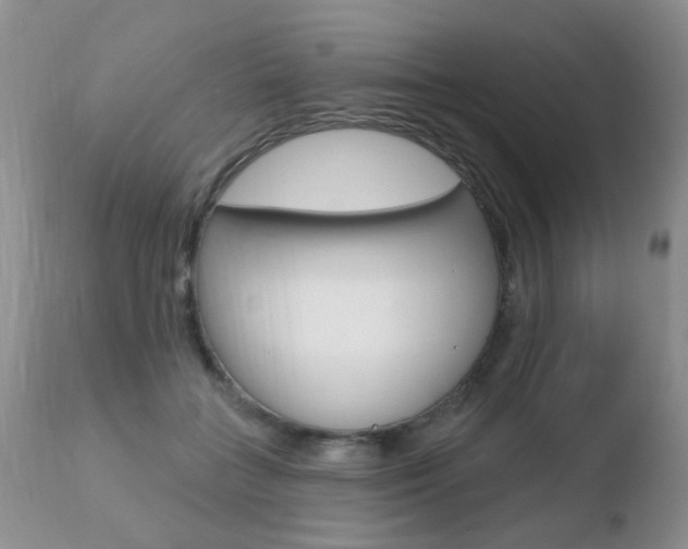 X0000110760555200906150932