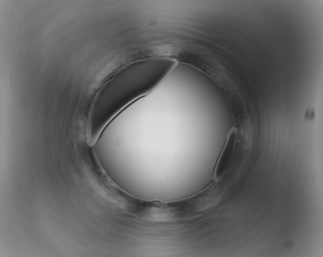 X0000110760556200906150932