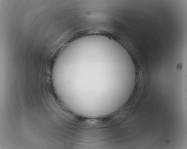 X0000110760557200906150932