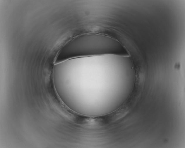 X0000110760558200906150932
