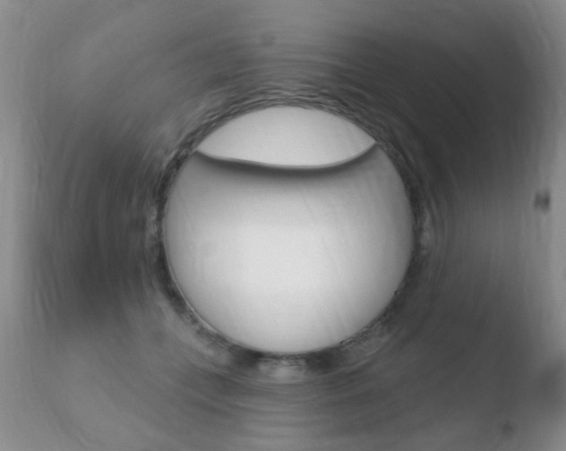 X0000110760559200906150932