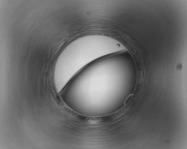 X0000110760560200906150932