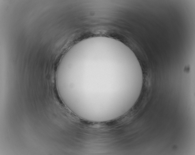 X0000110760561200906150932