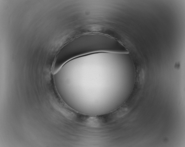 X0000110760562200906150932